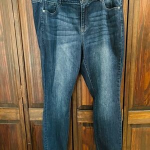 Lane Bryant Venezia Classic Blue‎ Women's Jeans